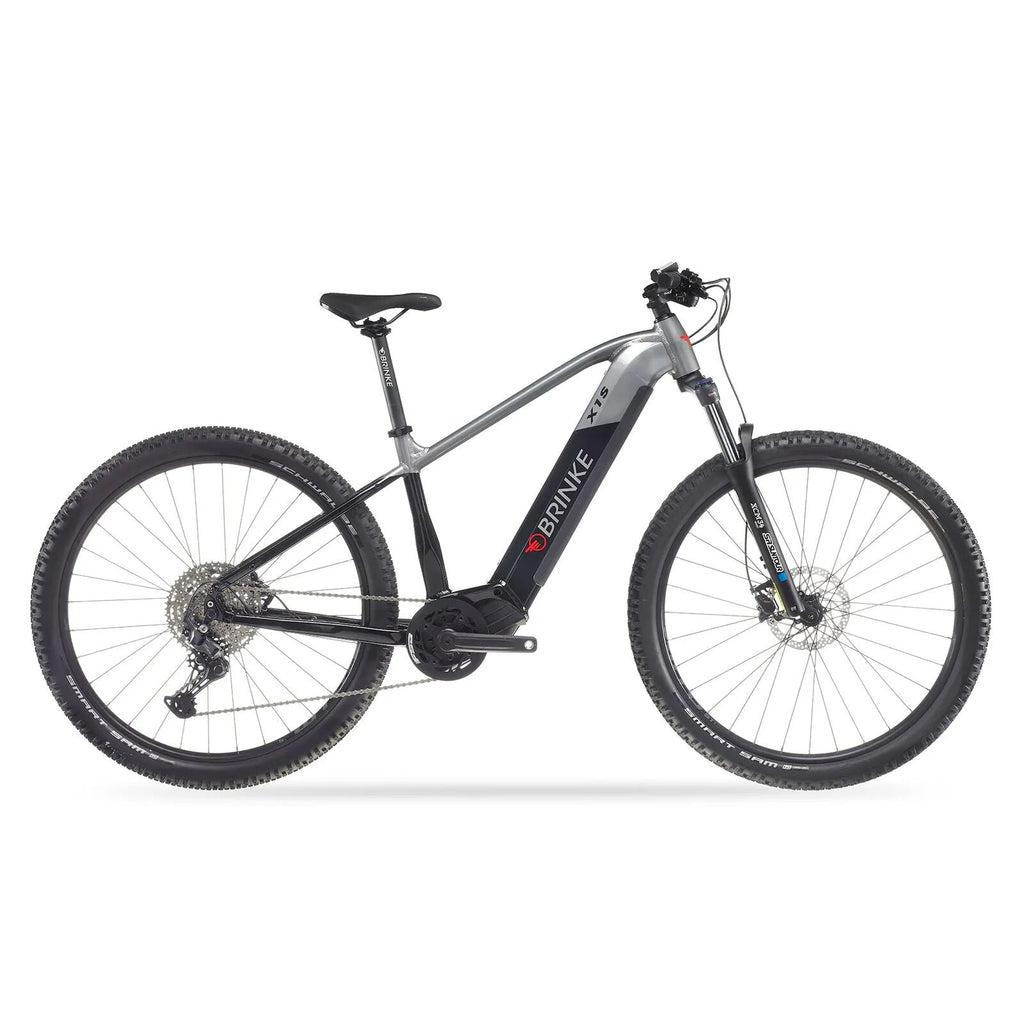 Brinke X1S bike