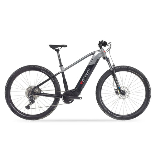Brinke X1S bike