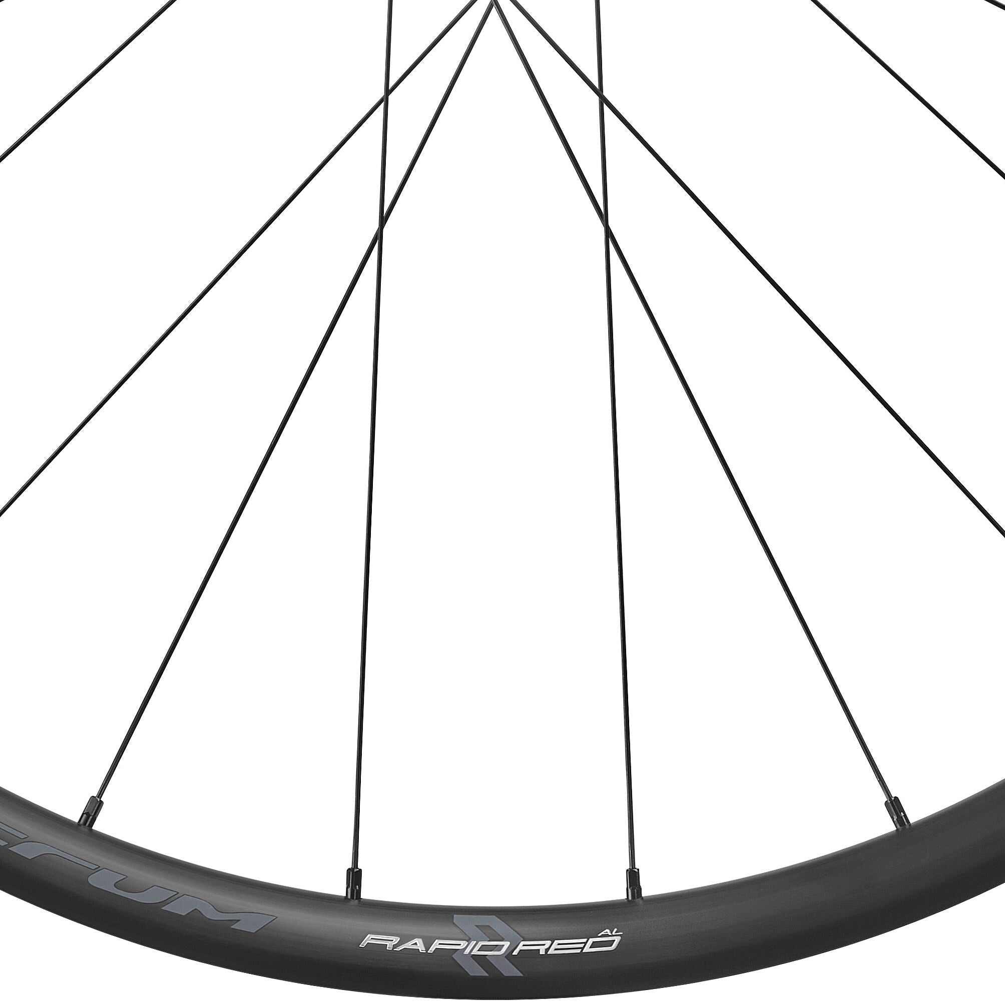 Fulcrum Rapid Red Al 2wf c25 afs wheels