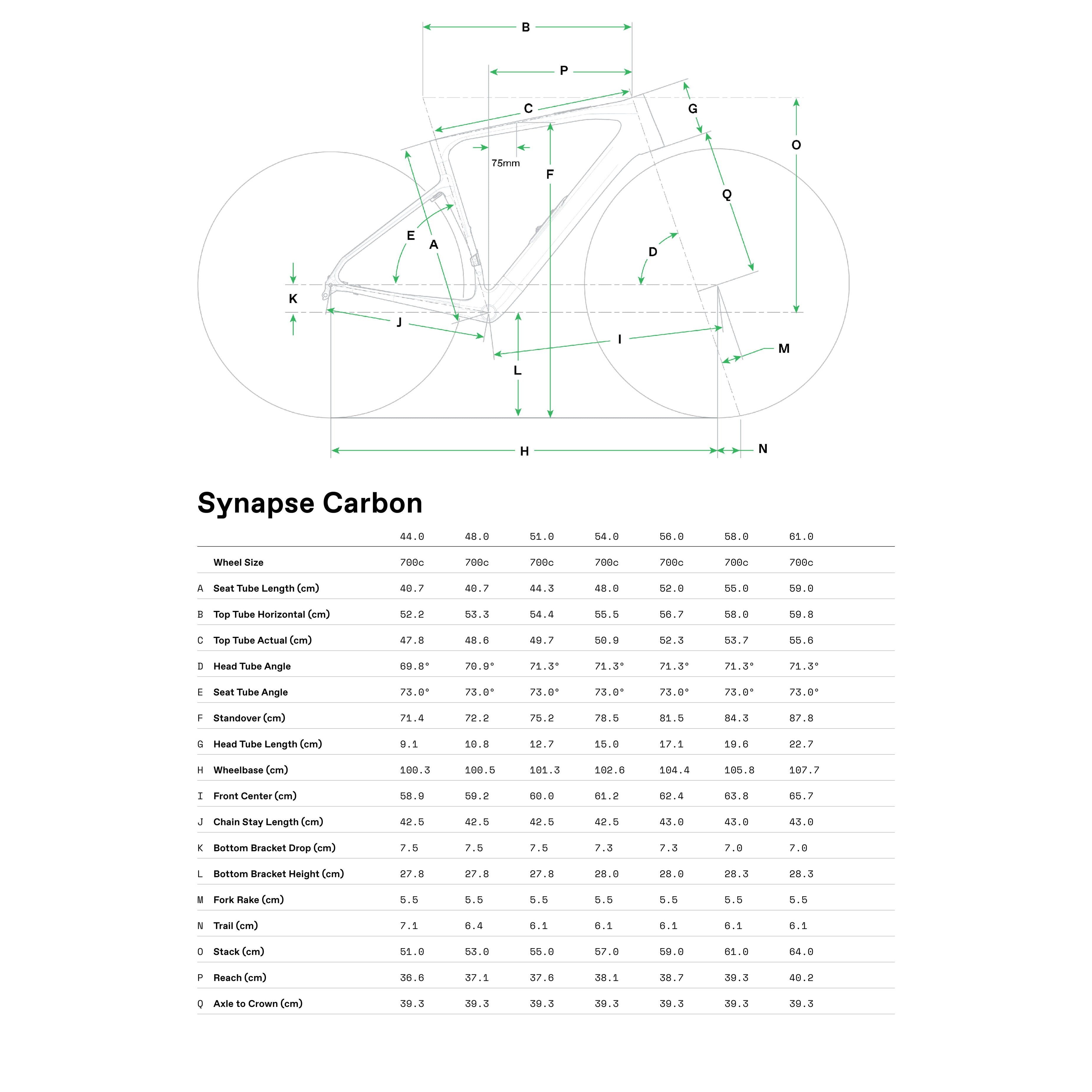 Cannondale Synapse Carbon 4