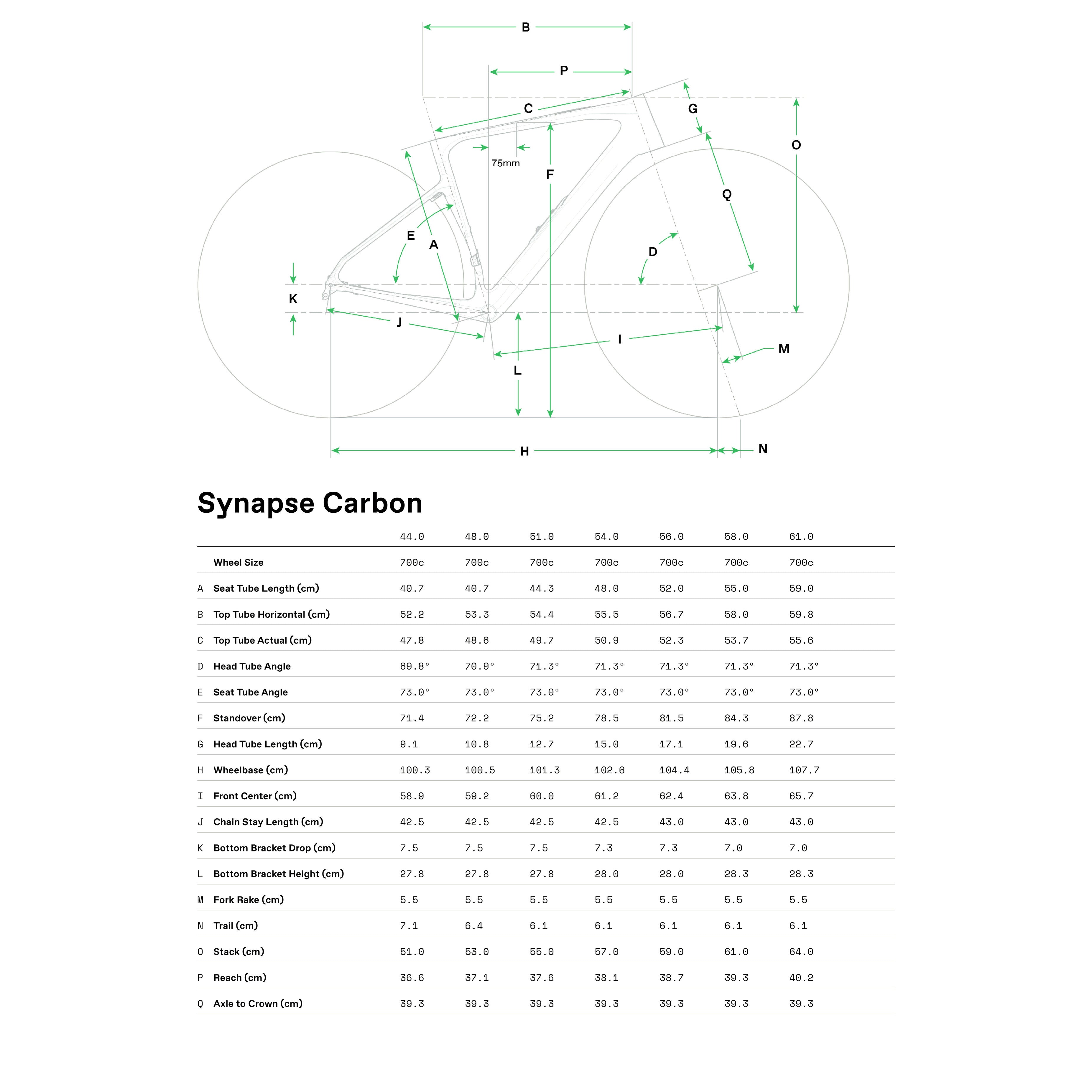 Cannondale Synapse Lab71 frame