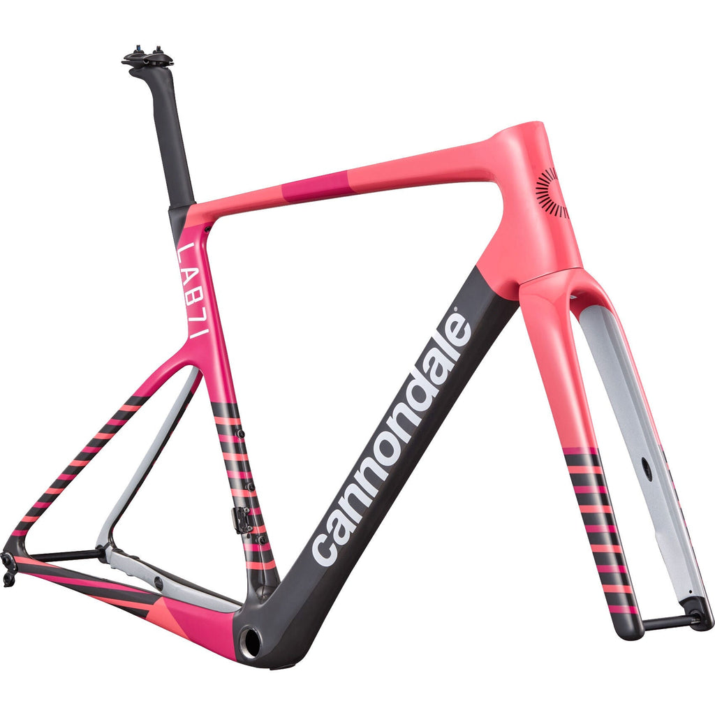 Cannondale Supersix Evo Lab71 frame