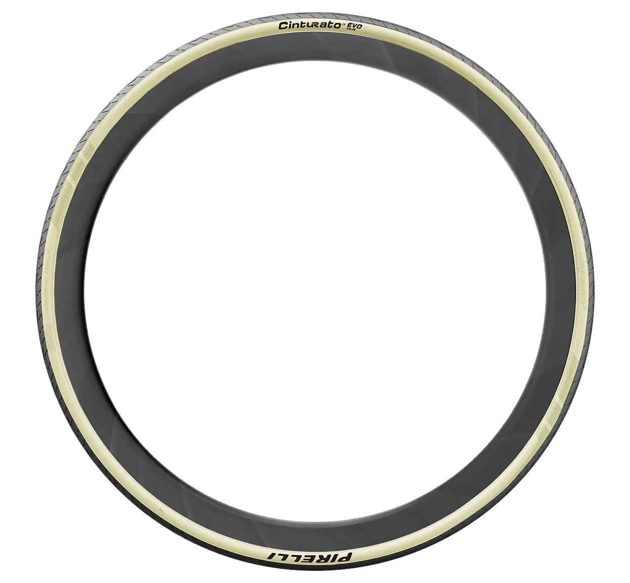 Pirelli Cinturato Evo TLR tyre