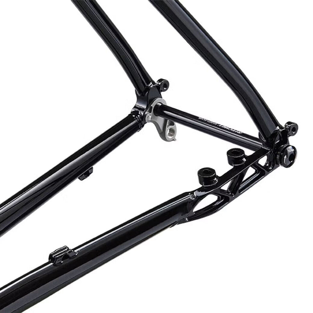 Ritchey Outback frame