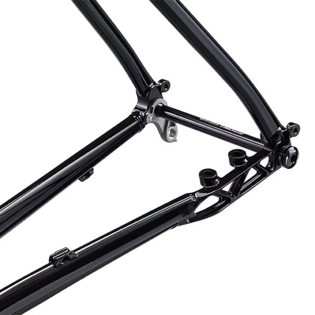 Ritchey Outback frame