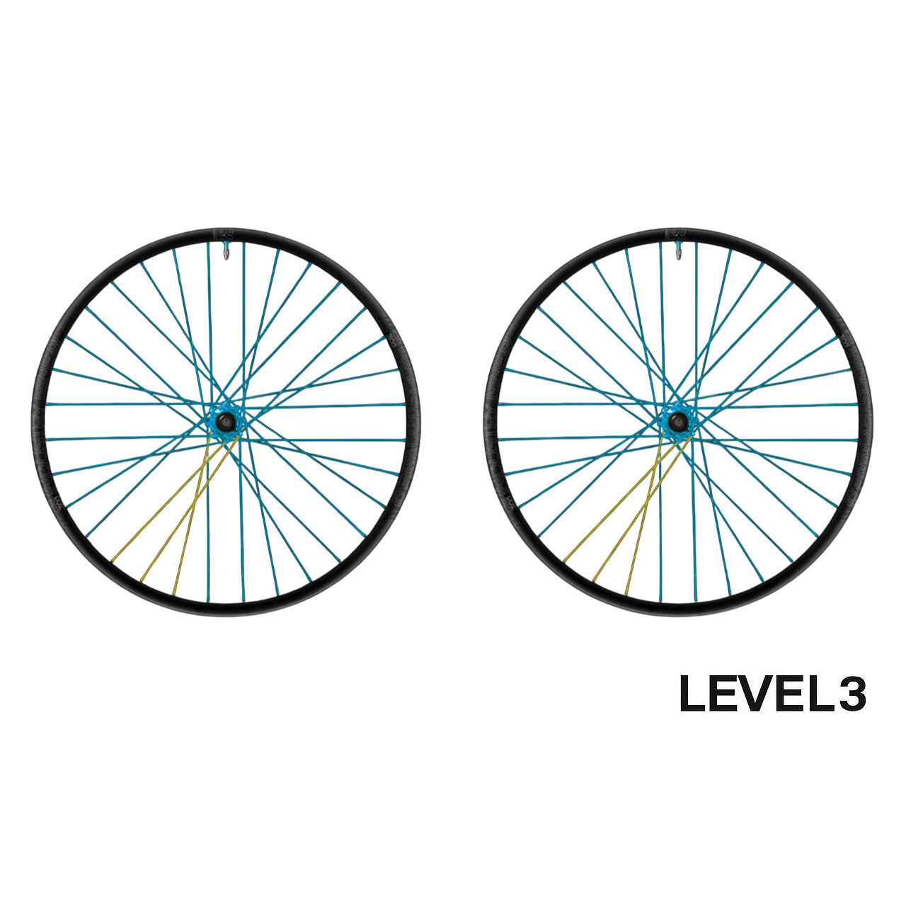 Industry Nine DH Hydra2 Custom Wheels