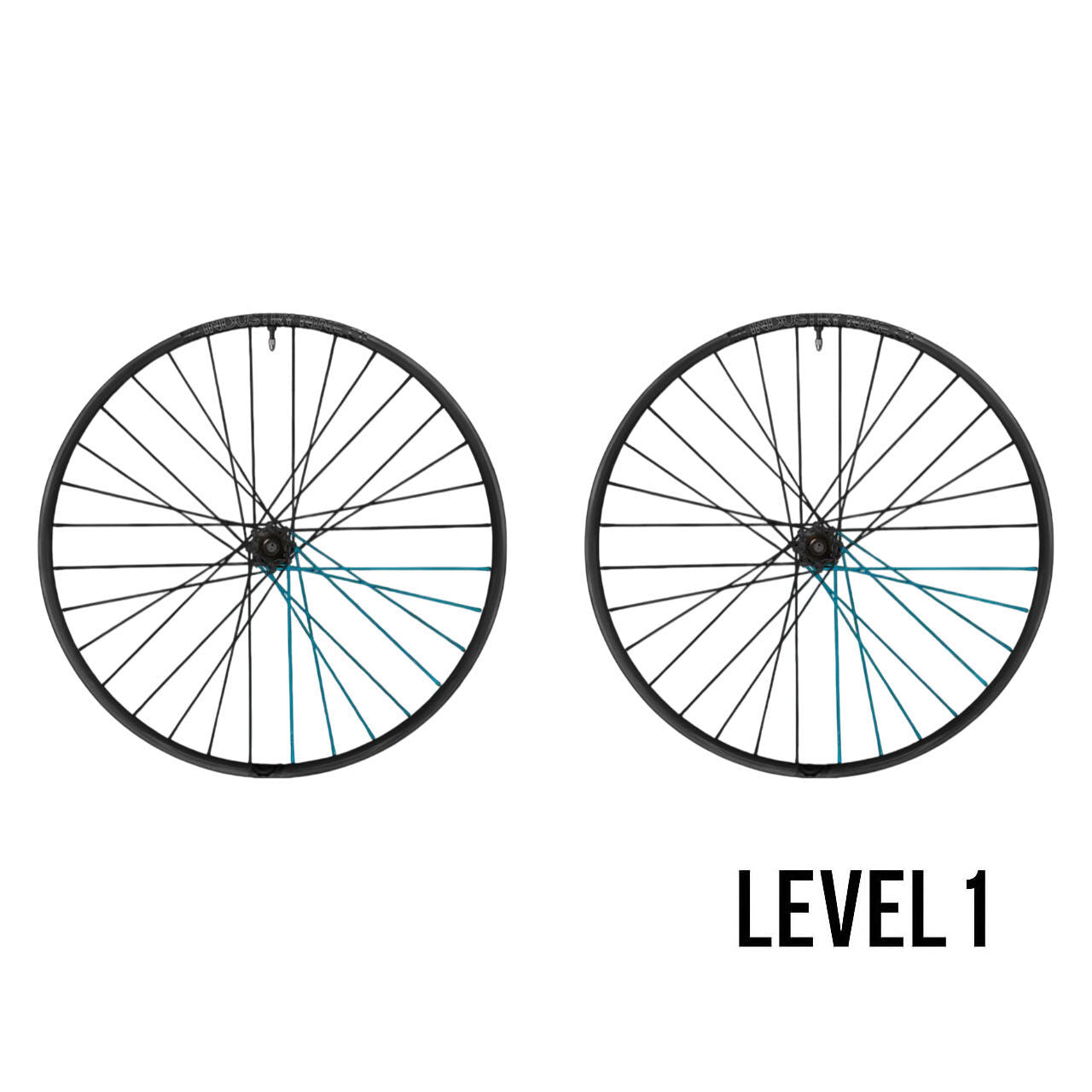 Industry Nine Trail Carbon Hydra2 Custom wheels