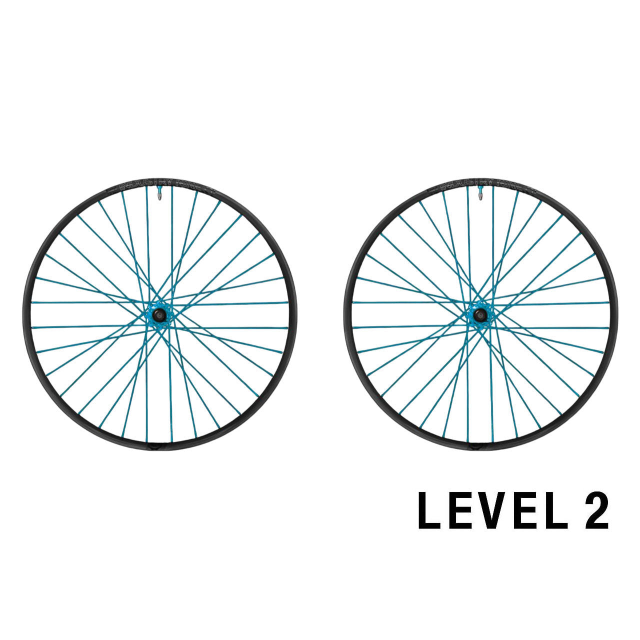 Industry Nine Trail Carbon Hydra2 Custom wheels