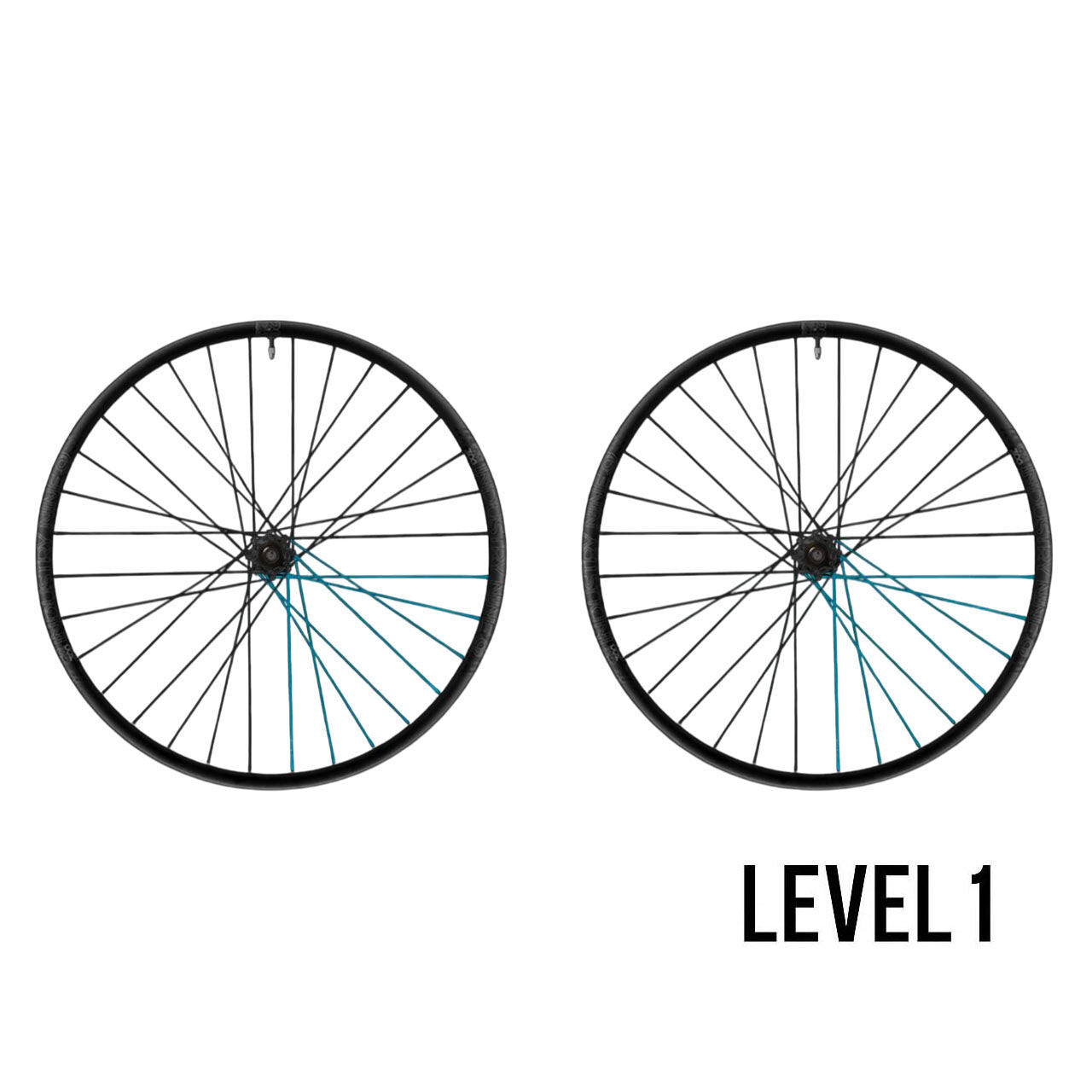 Industry Nine DH Hydra2 Custom Wheels