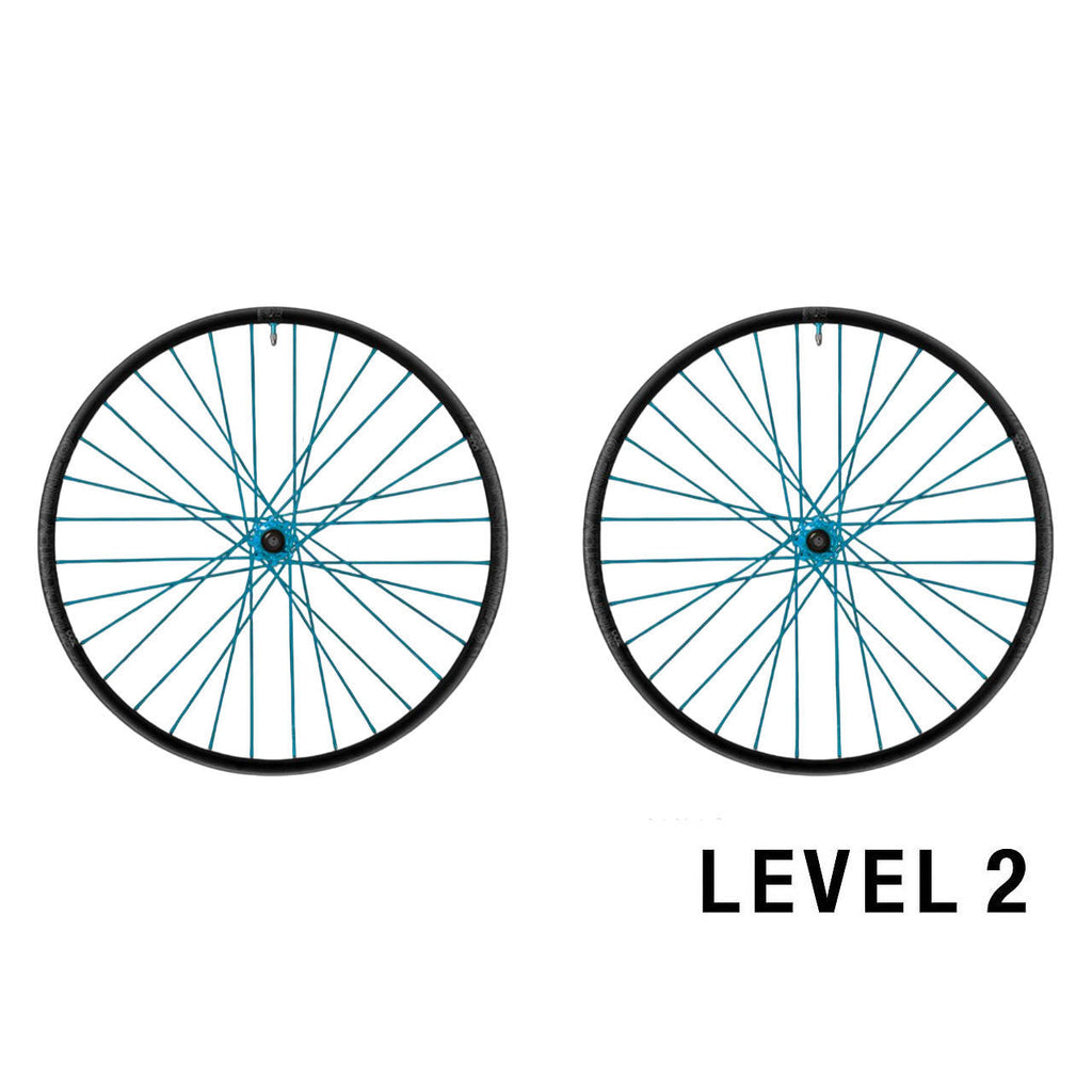 Industry Nine DH Hydra2 Custom Wheels