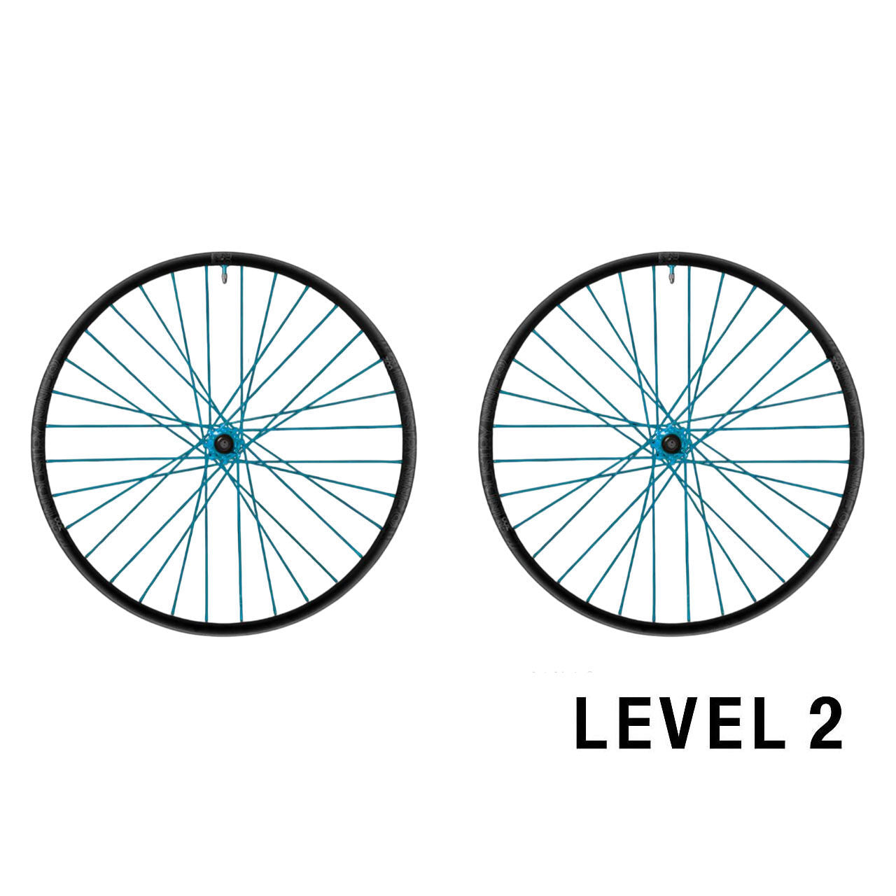 Industry Nine DH Hydra2 Custom Wheels