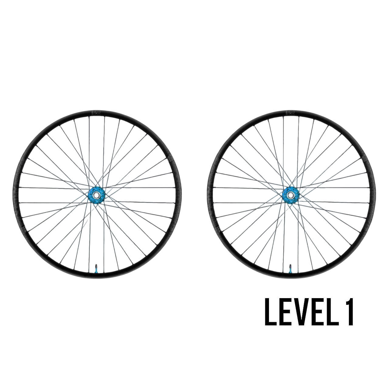 Industry Nine Dh-s Hydra2 Custom Wheels