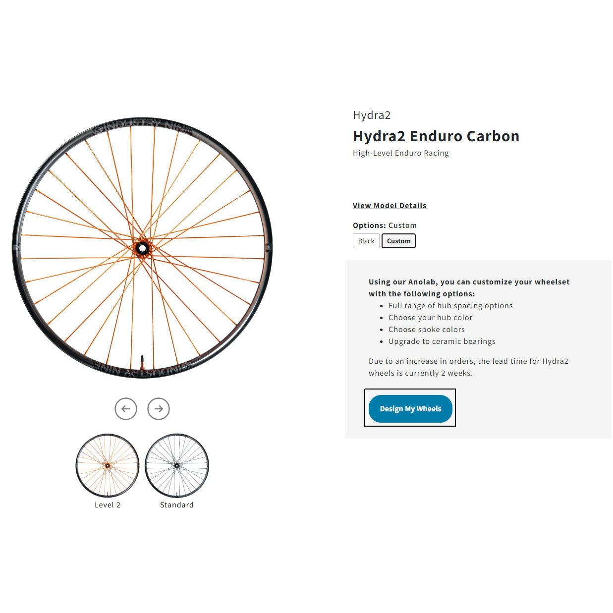 Industry Nine Enduro Carbon Hydra2 Custom Wheels