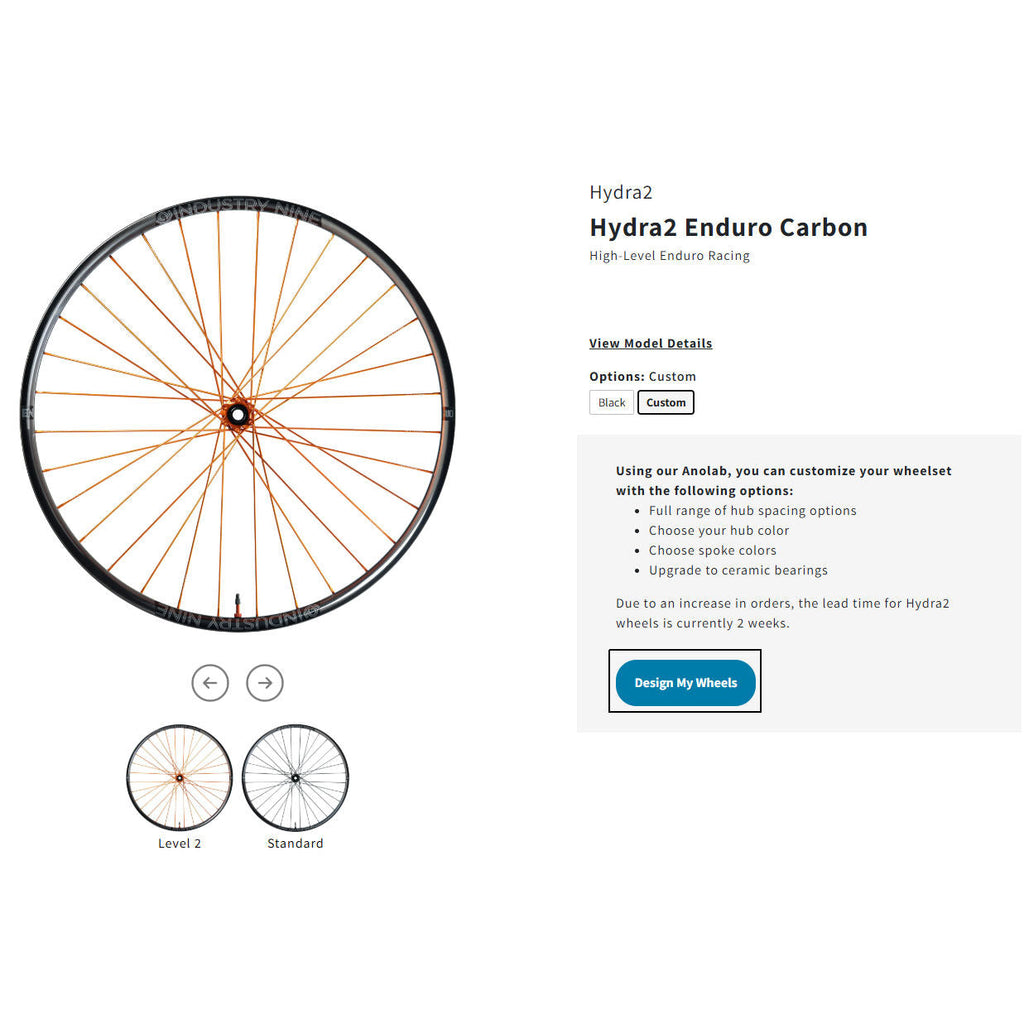 Industry Nine Enduro-S Hydra2 Custom Wheels