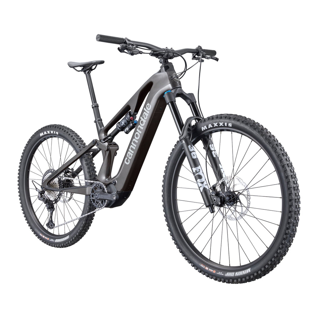 Cannondale Moterra SL 2 bike