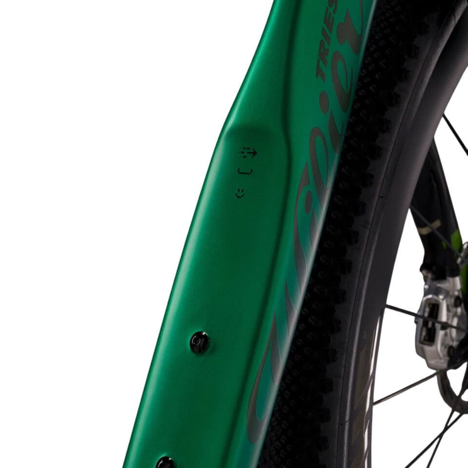 Wilier Triestina Rave SLR ID2 Grx Di2 1x12 + Miche Graff XL