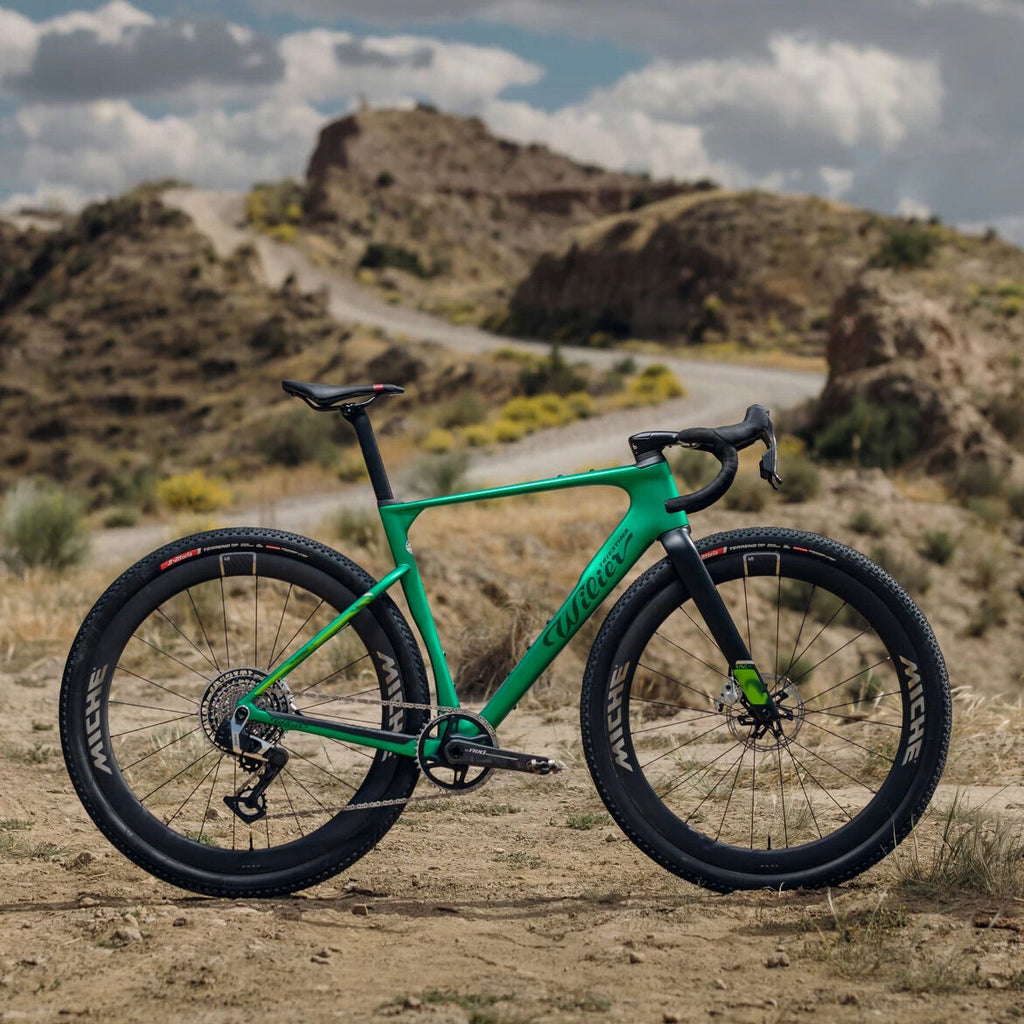 Wilier Triestina Rave Slr ID2 Grx Di2 + Miche Graff Aero 48