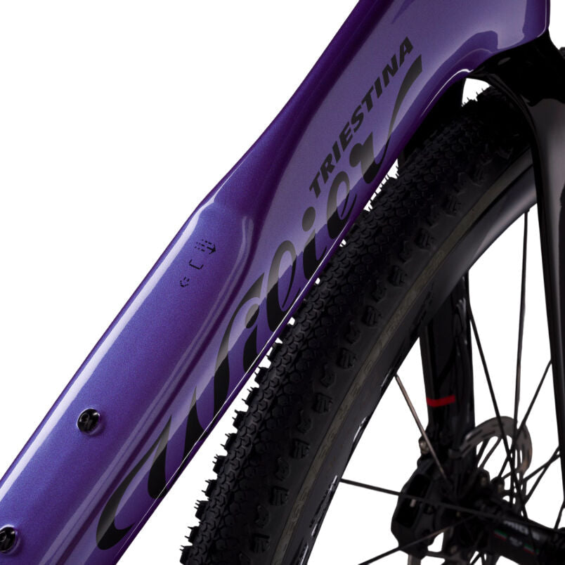 Wilier Triestina Rave Slr ID2 Grx 1x12 + Miche Graff Allroad Stemma S