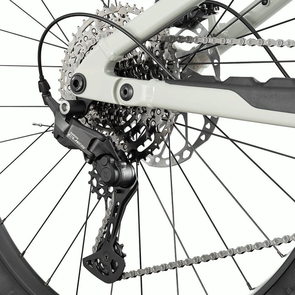 Cannondale Moterra 3