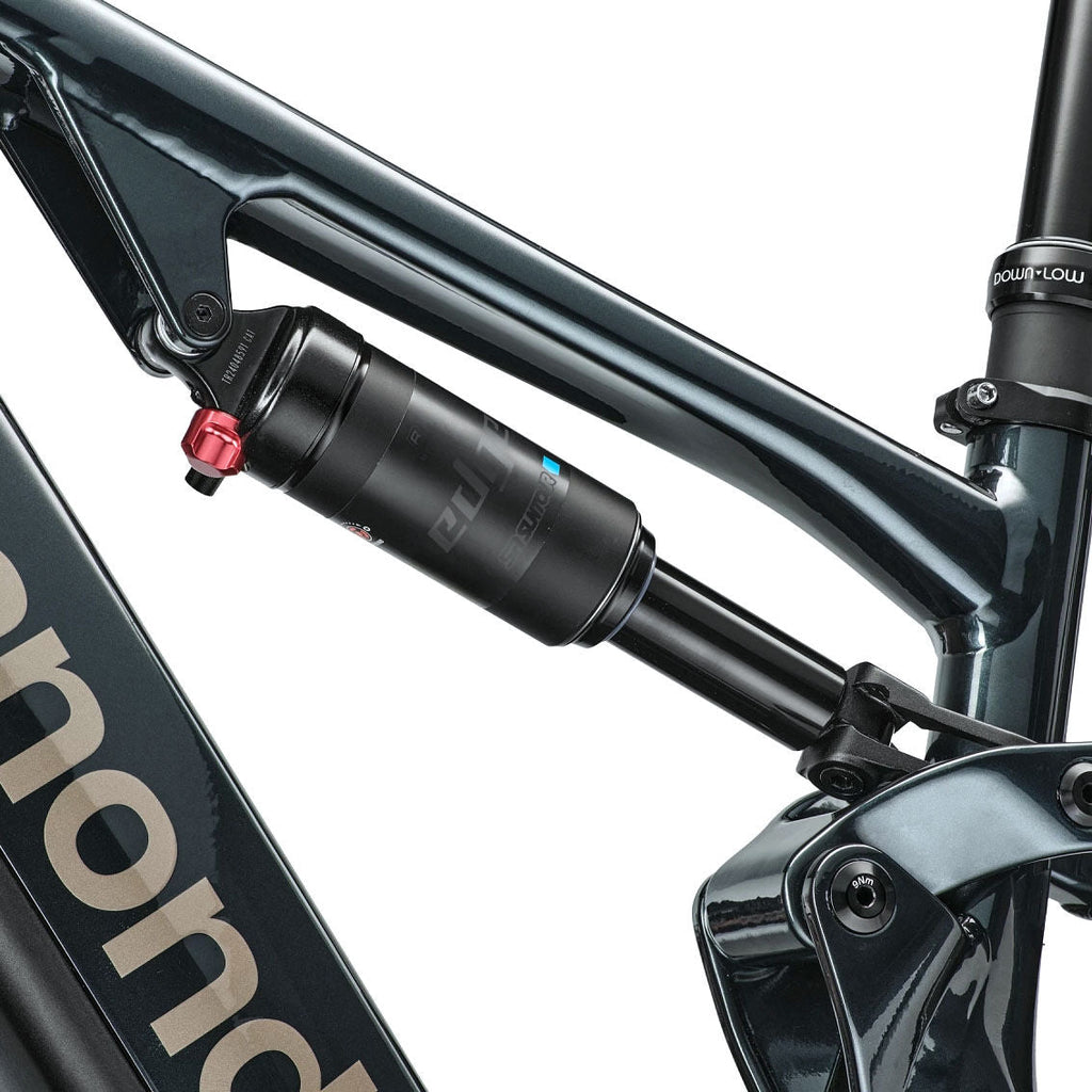 Cannondale Moterra 1 EQ bike