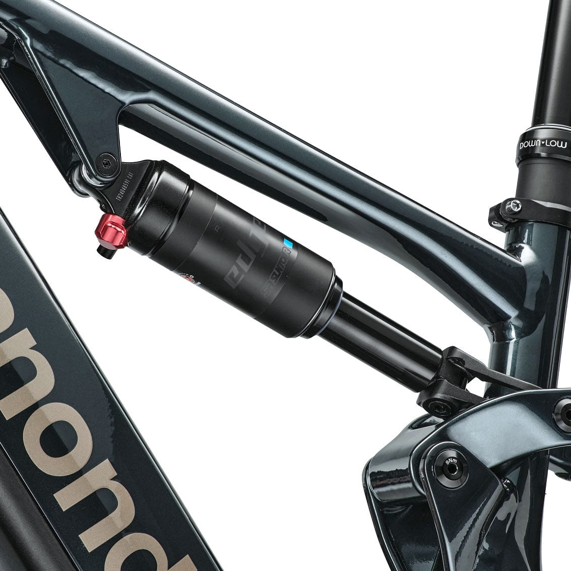 Cannondale Moterra 1 EQ bike