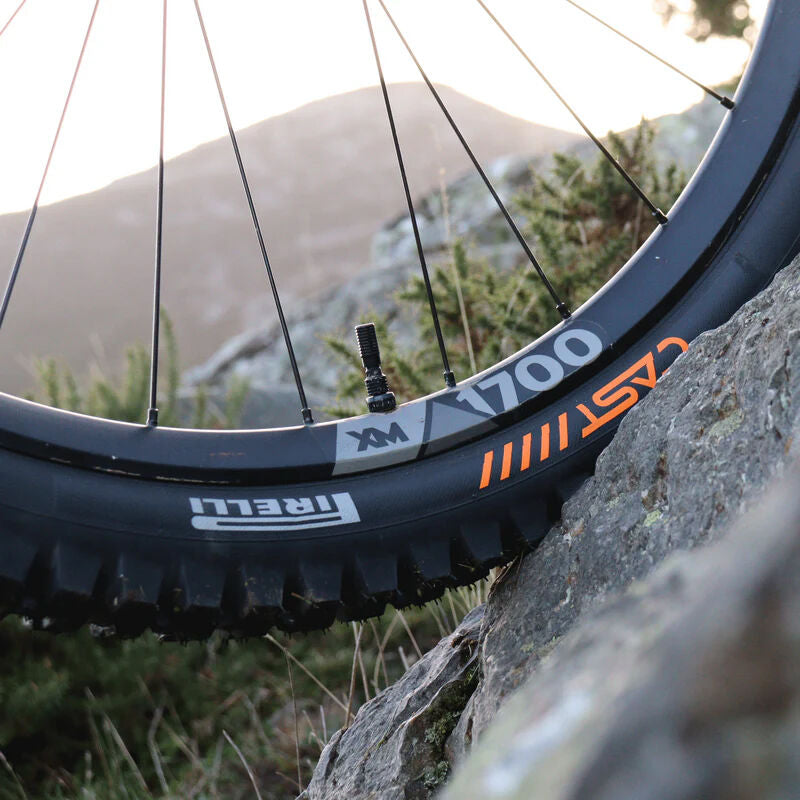 Pirelli Cast Protagonist Hardwall Smart Evo Dh tyre