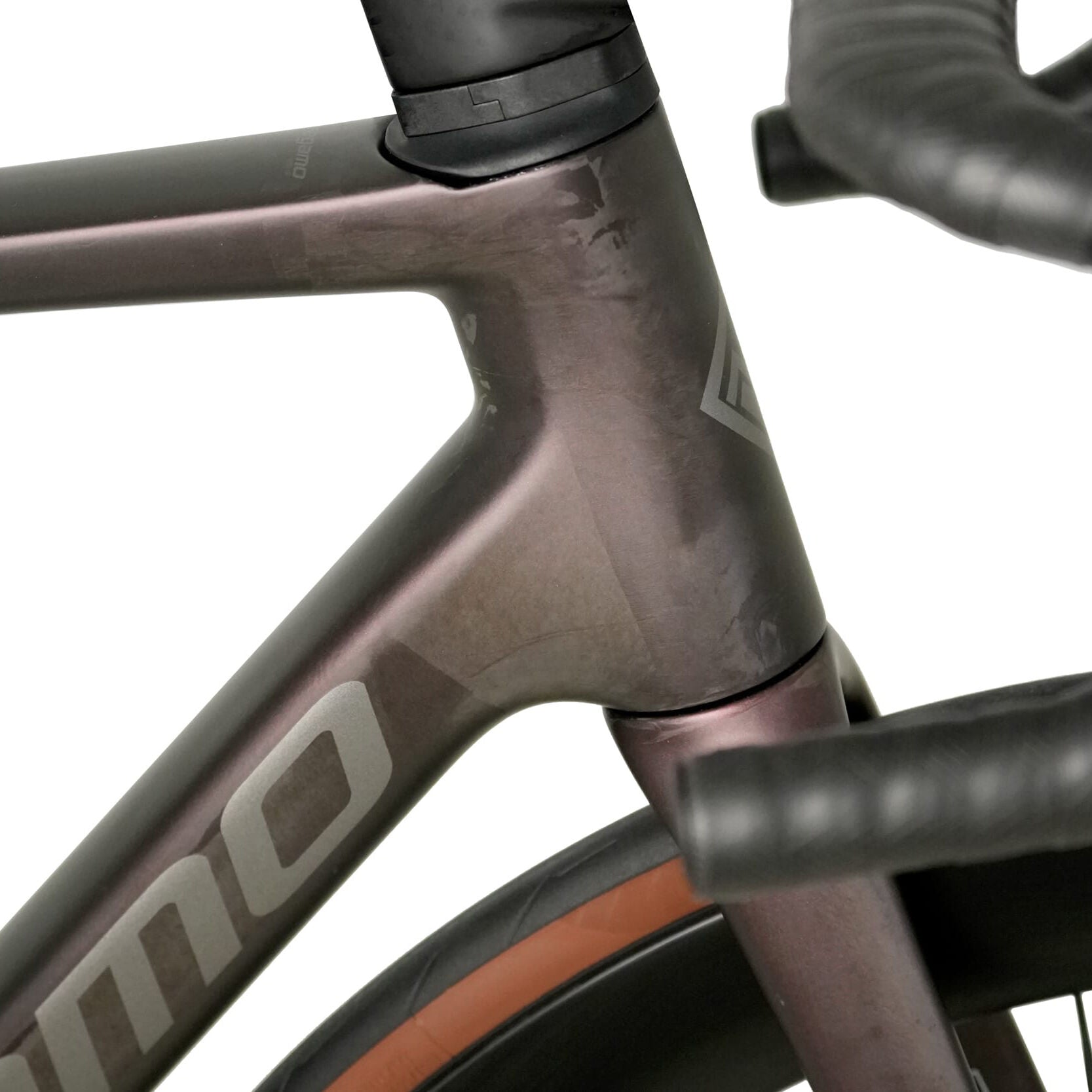 Megamo Road Raise Enve Edition  2026