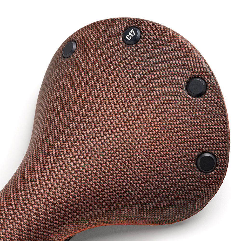 Brooks C17 saddle