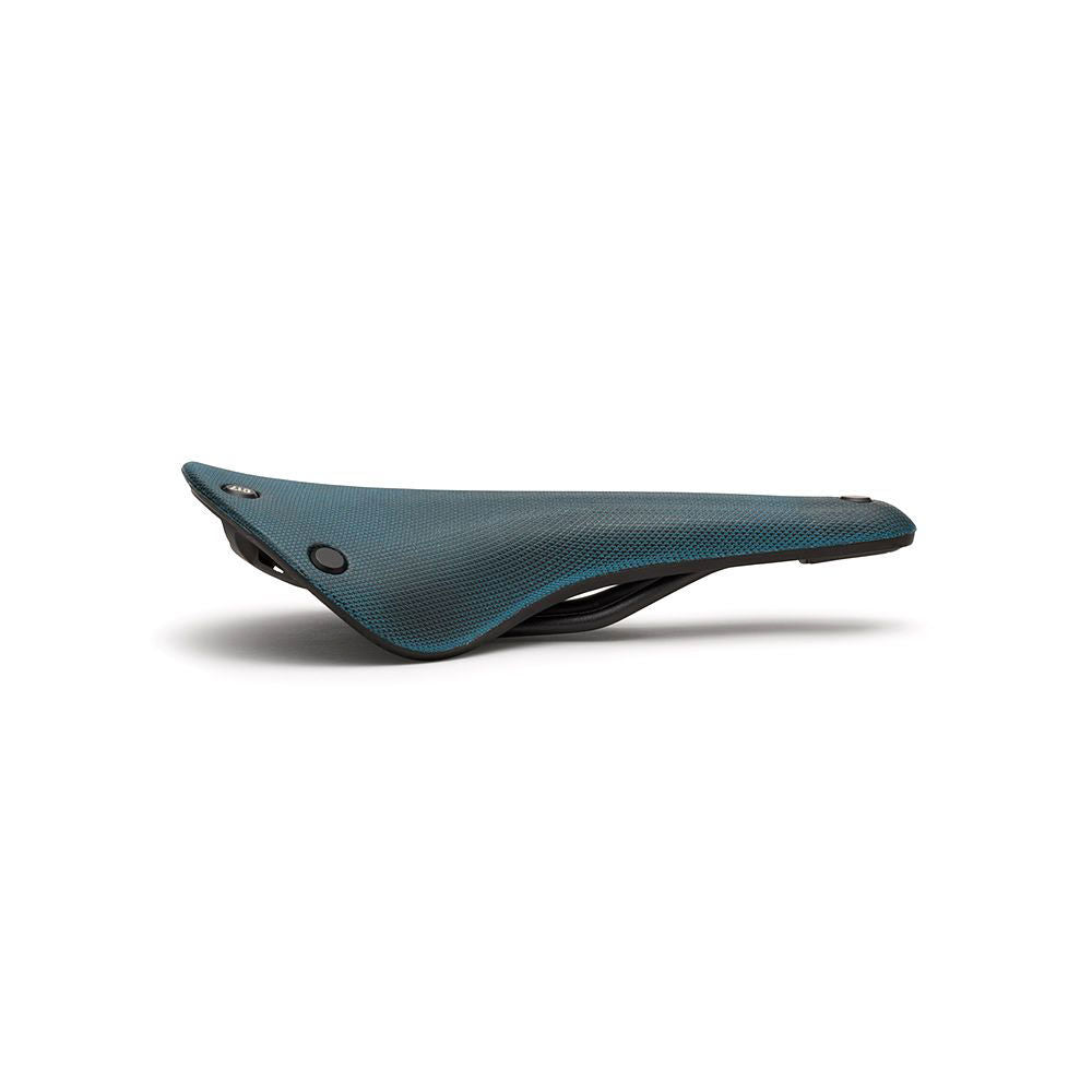 Brooks C17 saddle