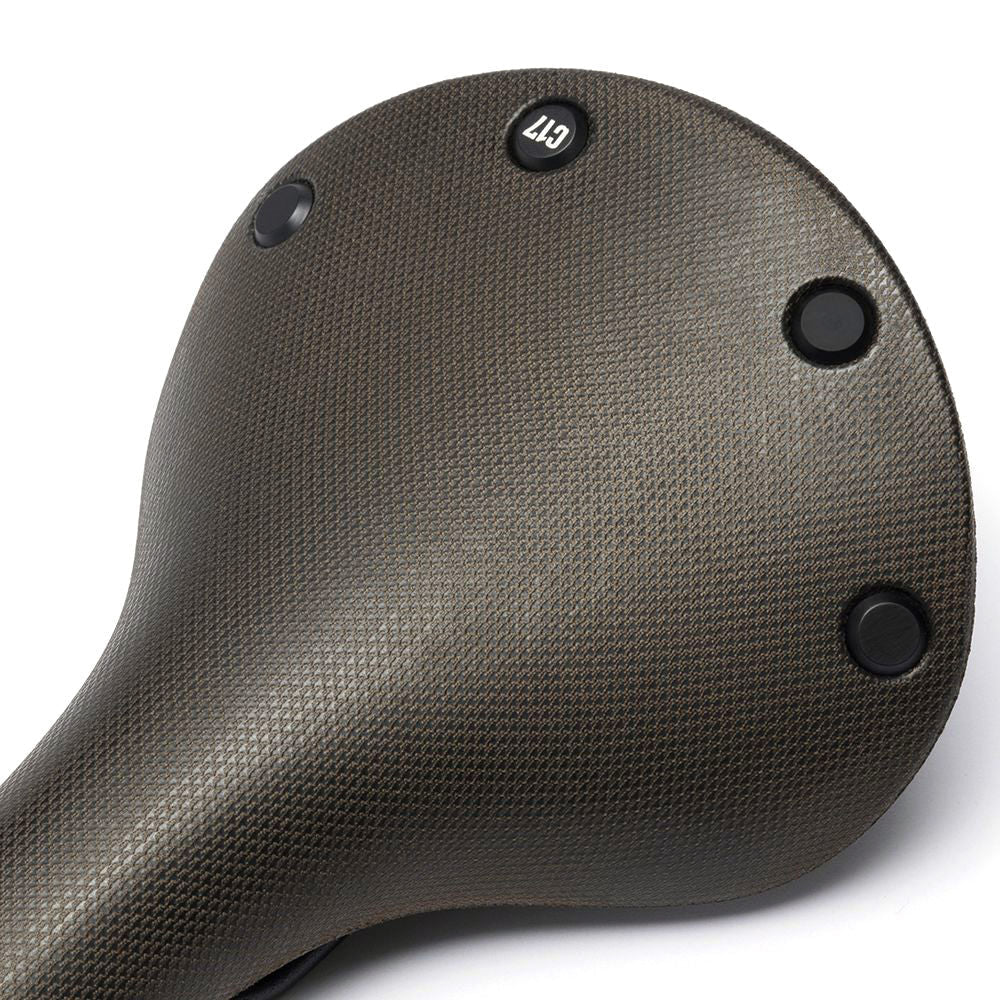Brooks C17 saddle