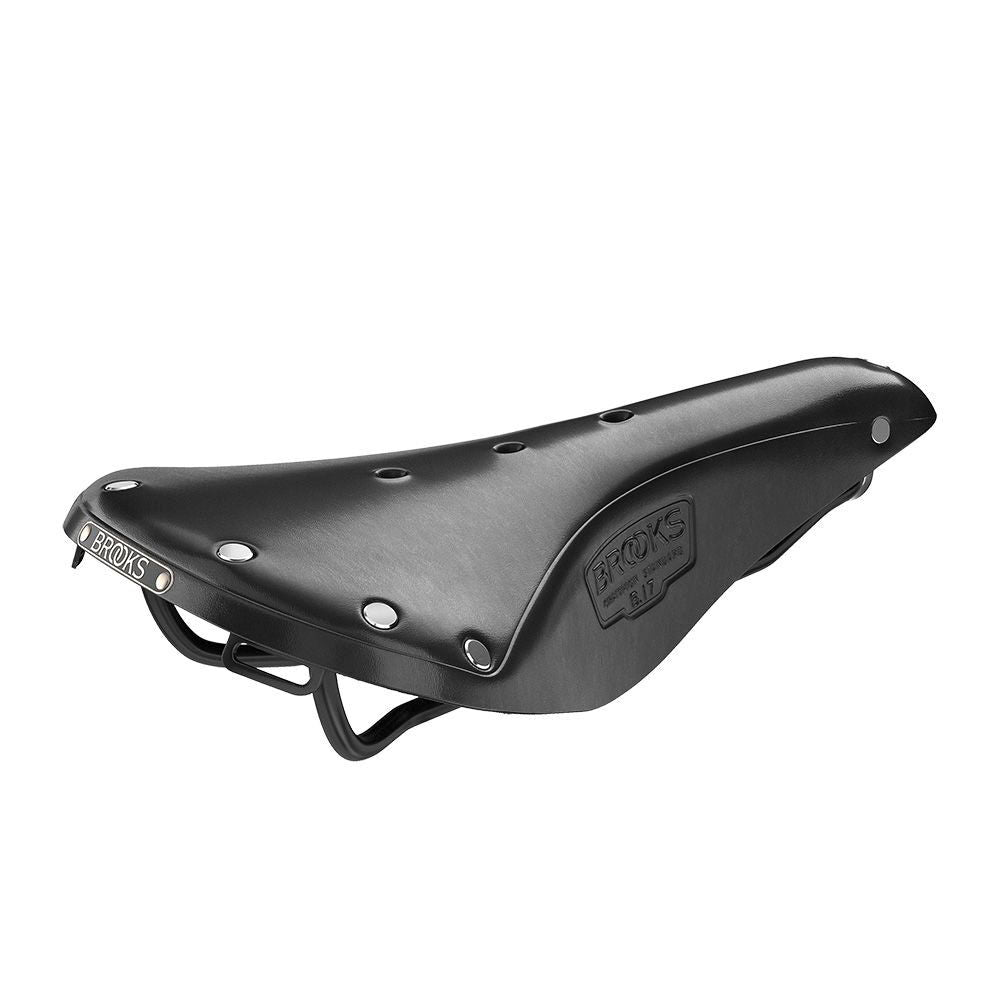 Brooks B17 saddle