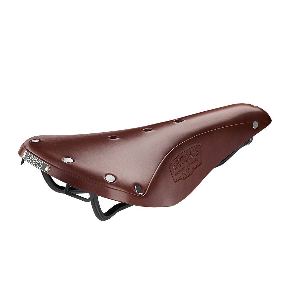 Brooks B17 saddle