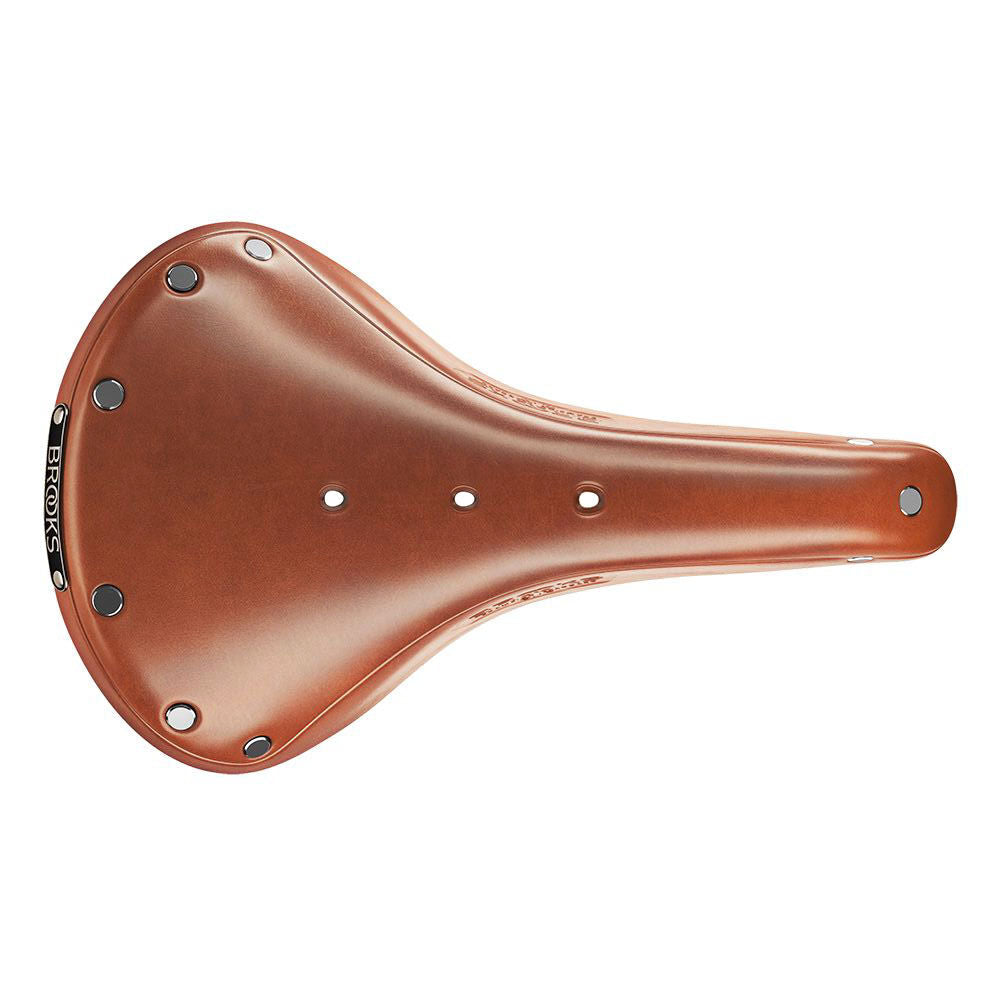 Brooks B17 saddle