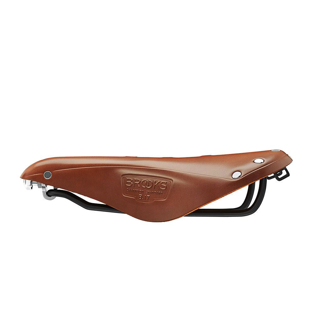 Brooks B17 saddle