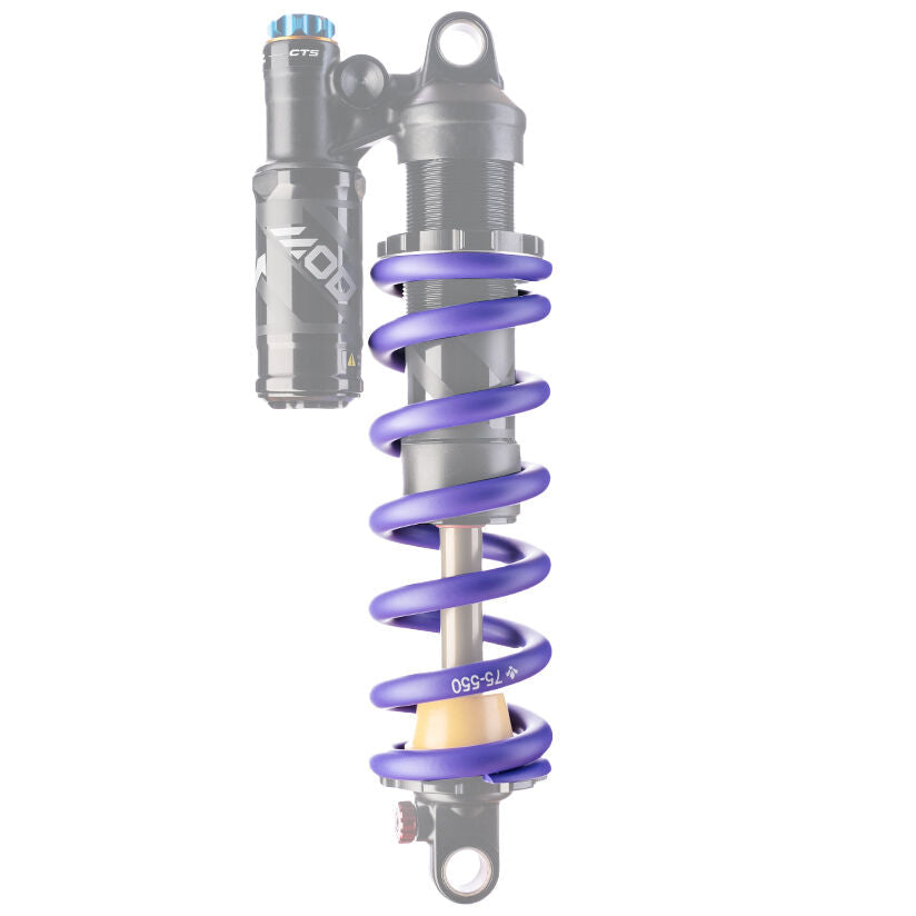 Formula Mod spring shock absorber