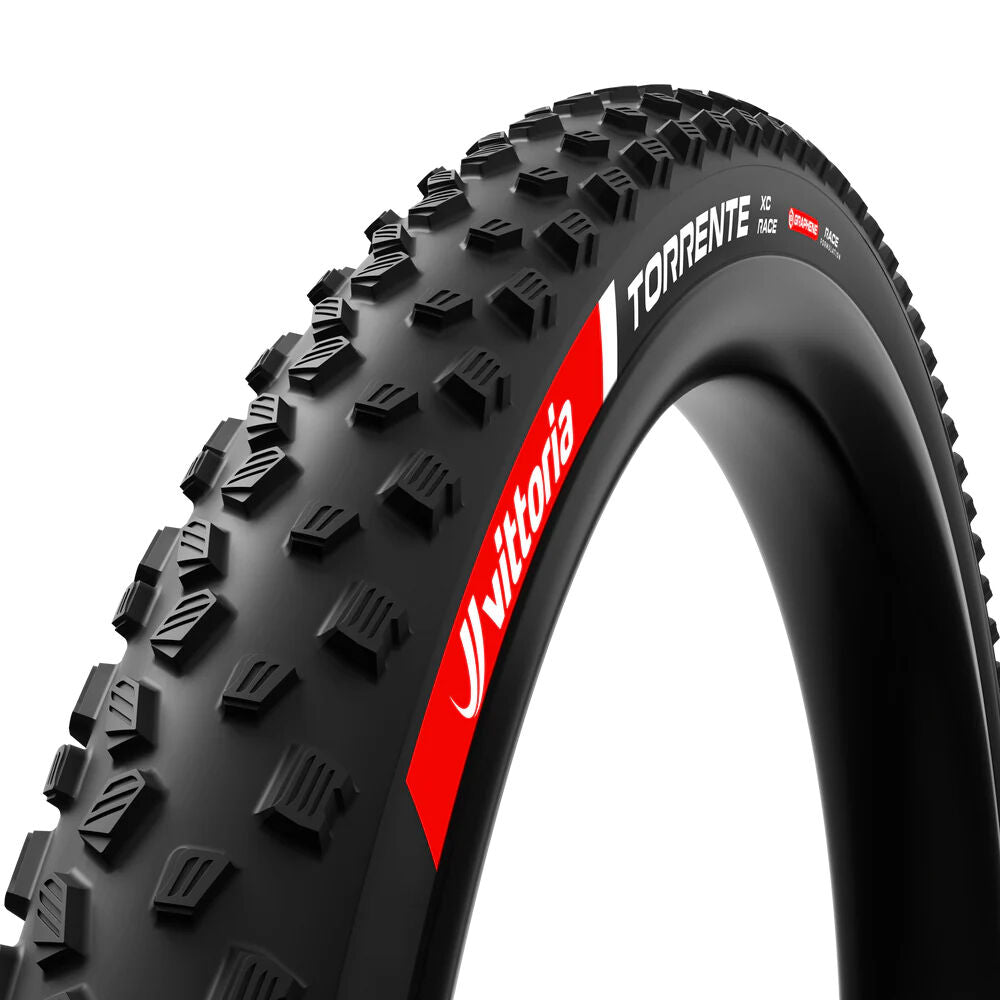 Vittoria Torrente tyre