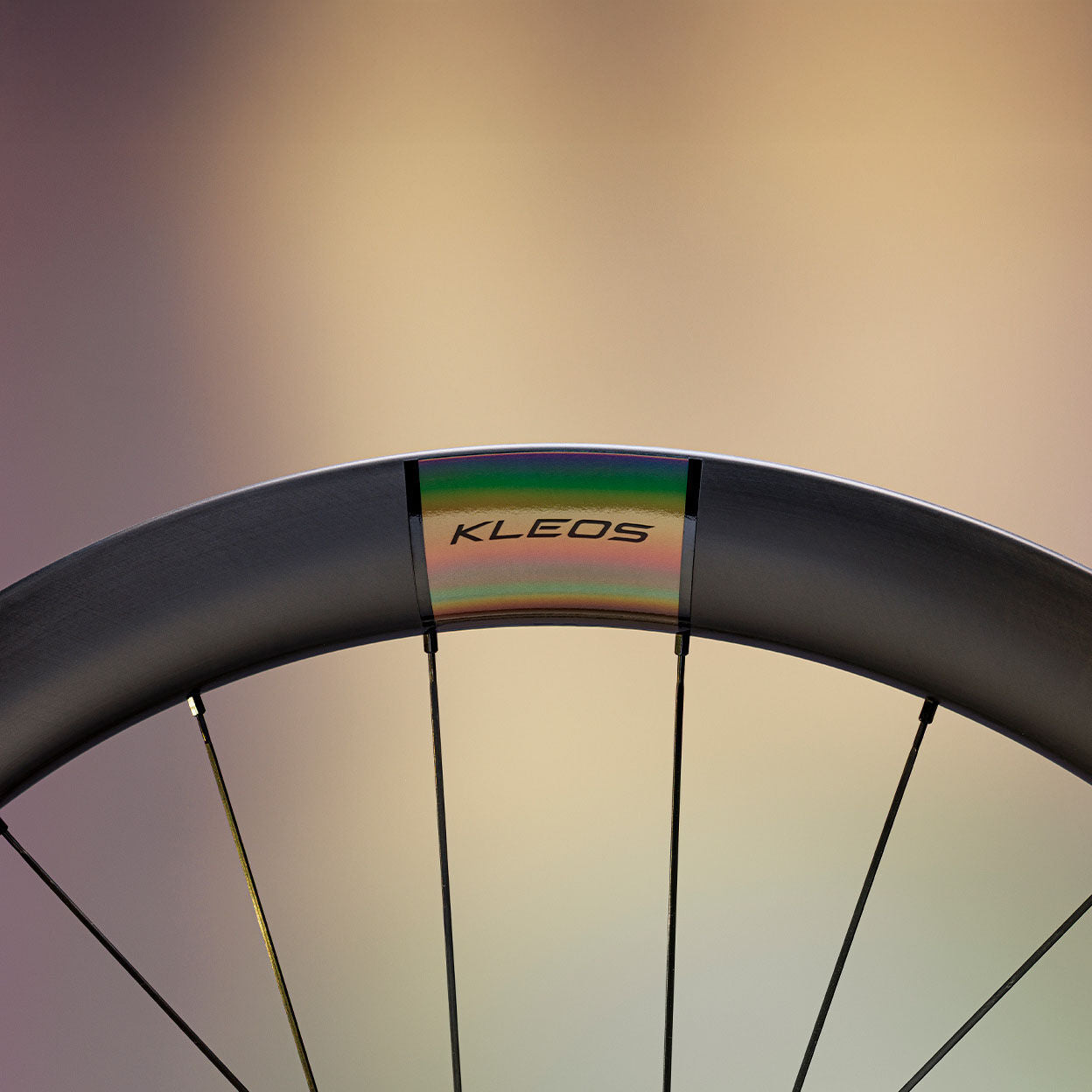 Miche Kleos 50 wheels 2026