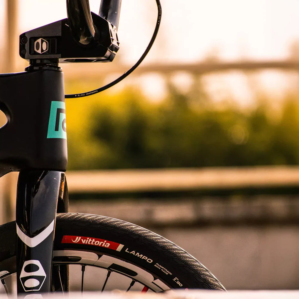 Vittoria Lampo tyre