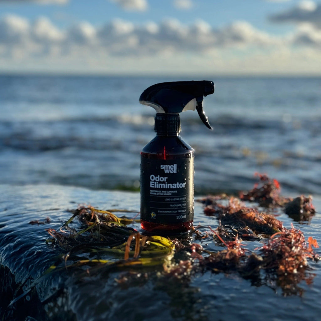 SmellWell Odor Eliminator deodorant spray