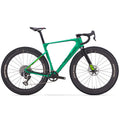 Wilier Triestina Rave SLR ID2 S.Record X 1x13 PWM WRL+ Miche Graff Aero 48