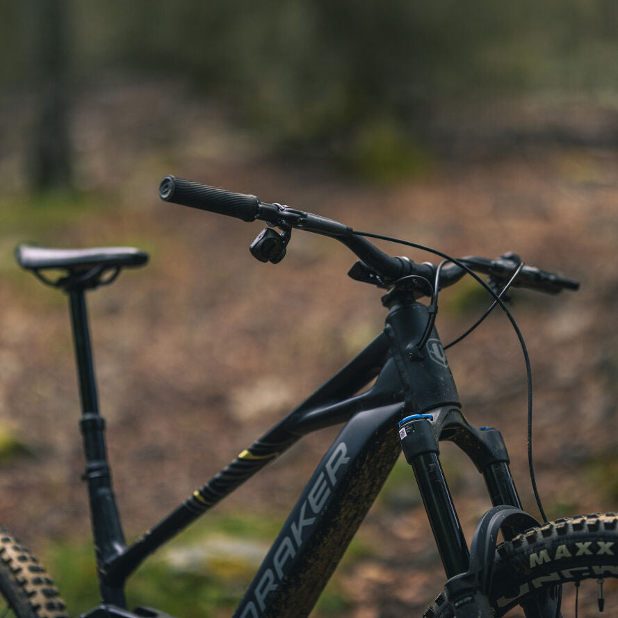 Mondraker Sly RR