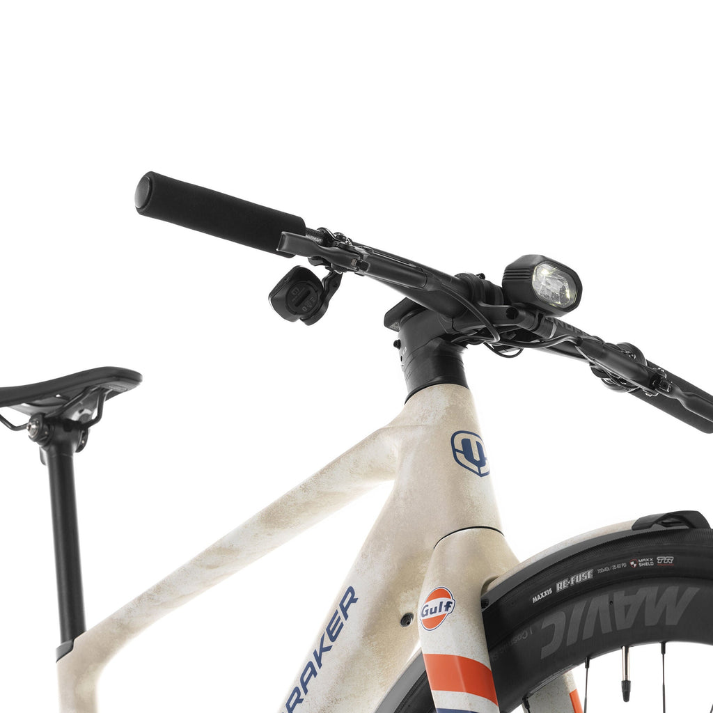 Mondraker Dusty X