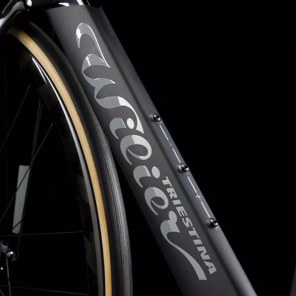Wilier Triestina Turbine SLR Dura Ace Di2 + Miche Kleos 67/85 2026