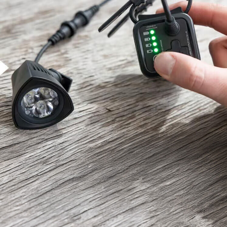 Sigma Buster 2000 HL front light