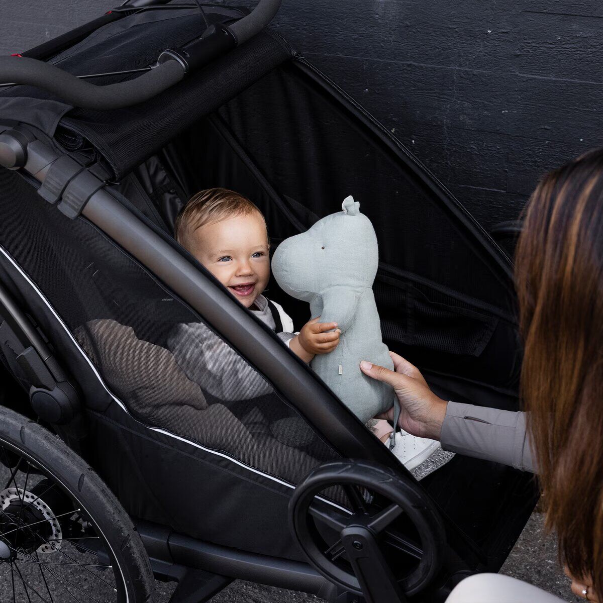 Thule child trailer Chariot Sport 2