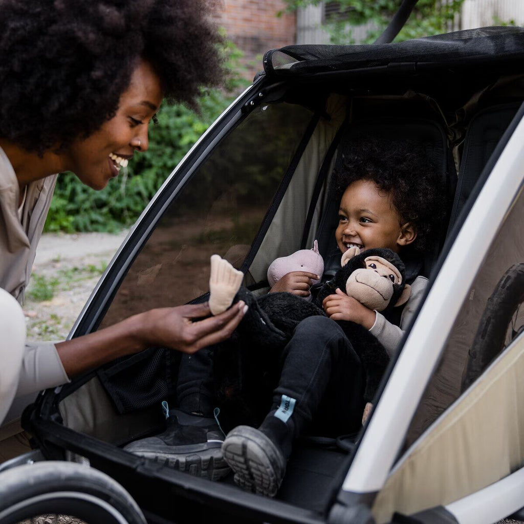Thule child trailer Chariot Cross 2