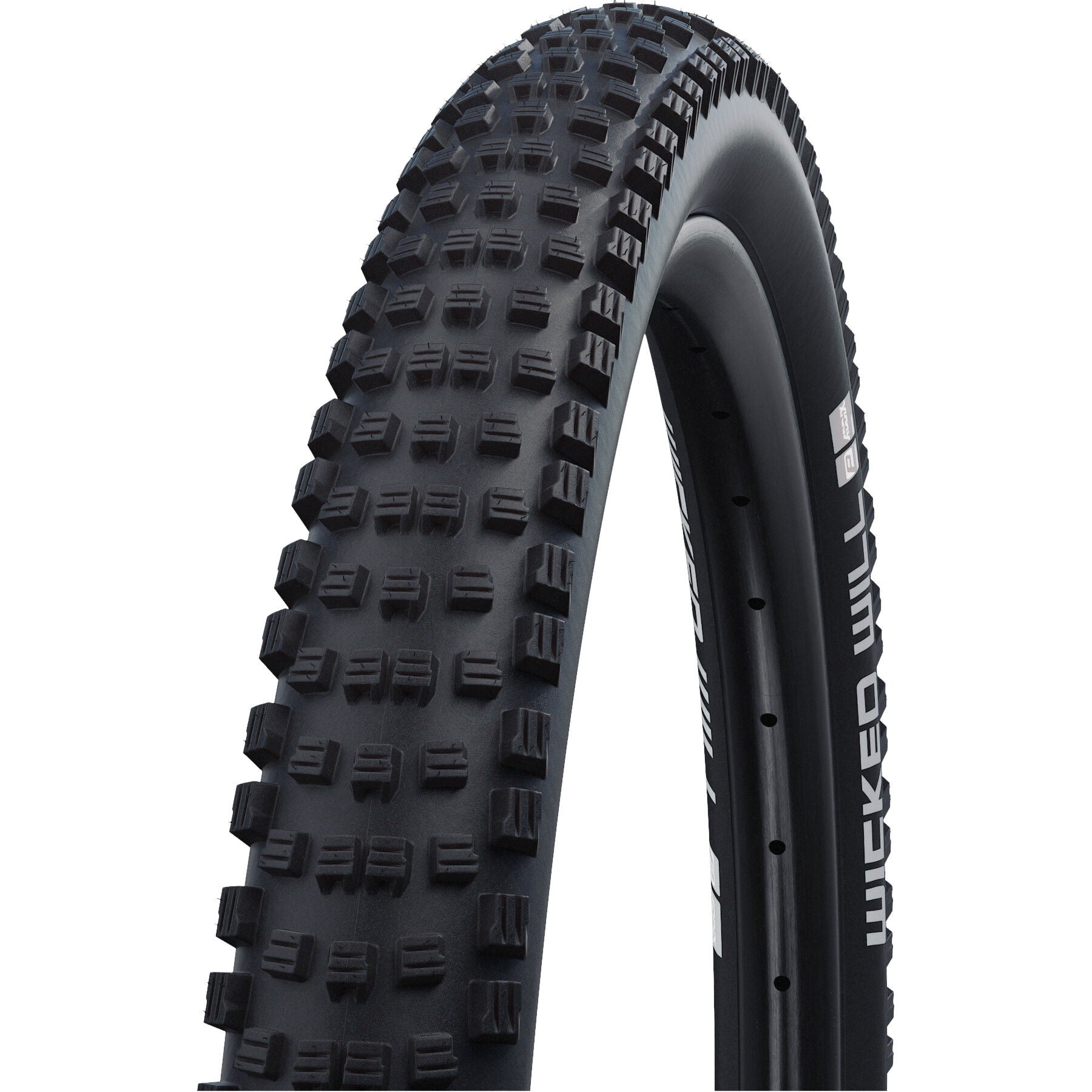 Schwalbe Wicked Will Performance Addix 29x2.4 tyre