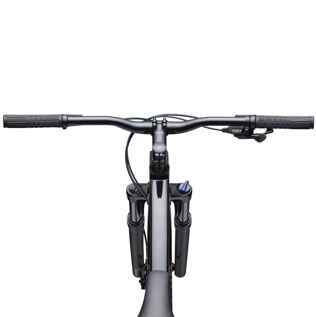 Cannondale Trail 2