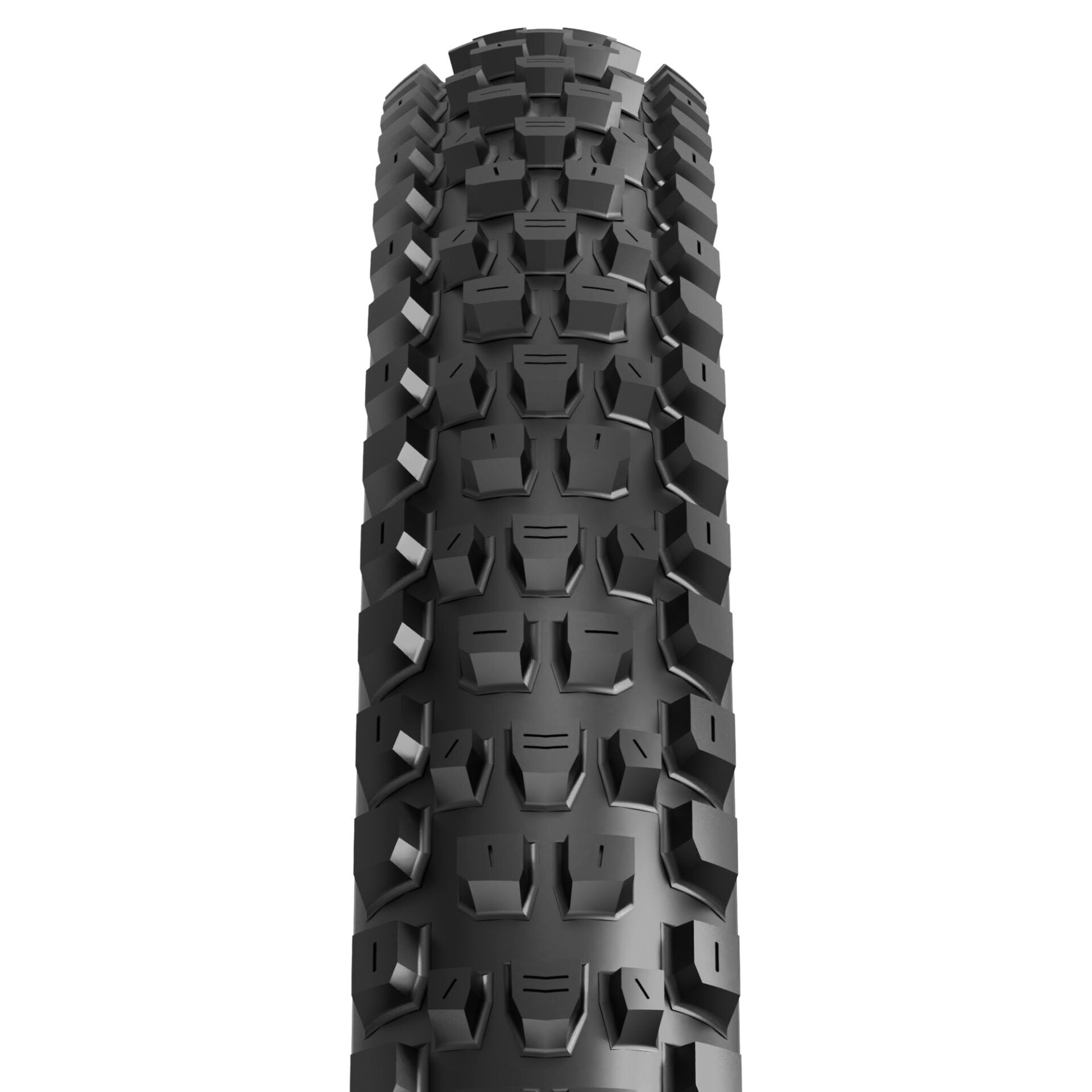 Maxxis Dissector Exo+ TL-Ready 29" tyre