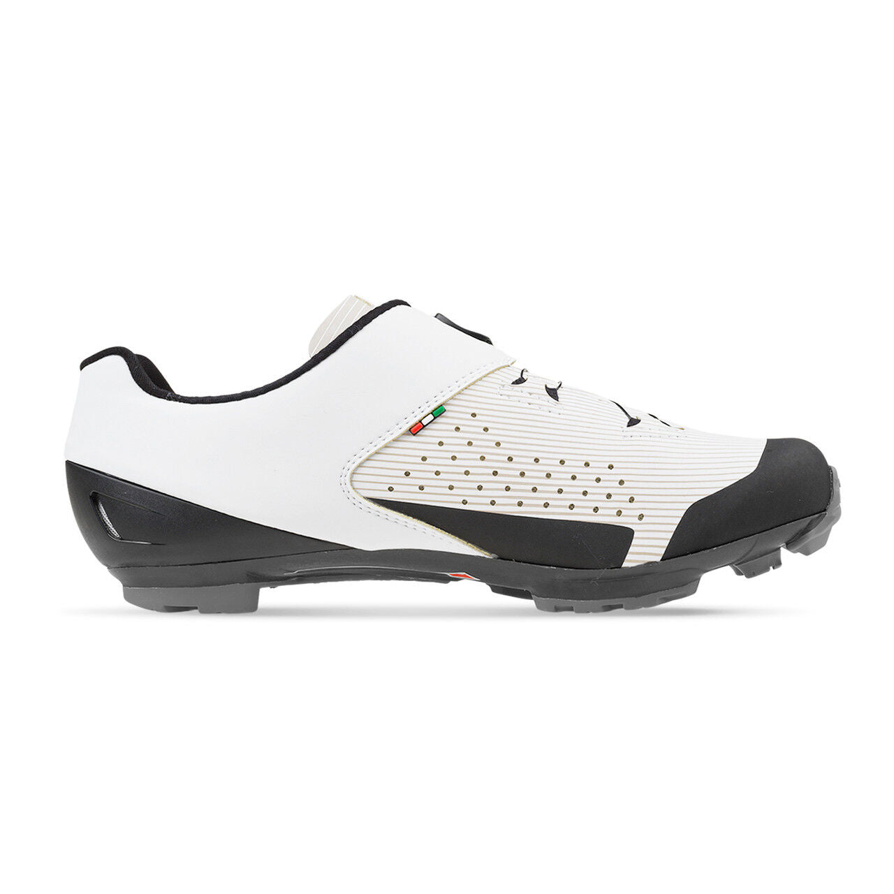 Gaerne Carbon G.Dare shoes